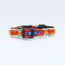 aurora2.webp