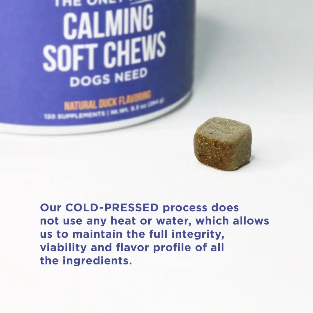 calm4.webp