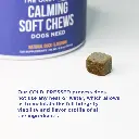 calm4.webp
