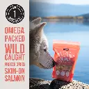 salmon3.webp