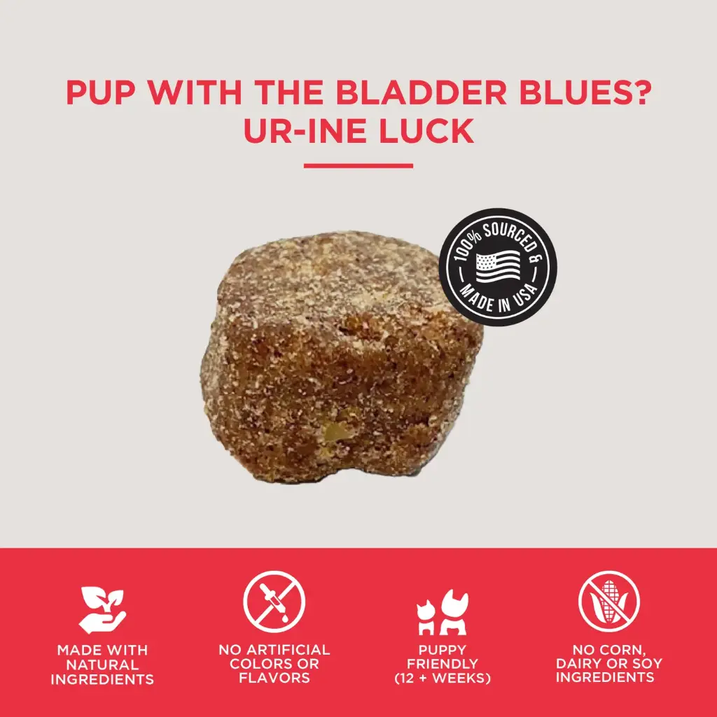 bladder 5.webp