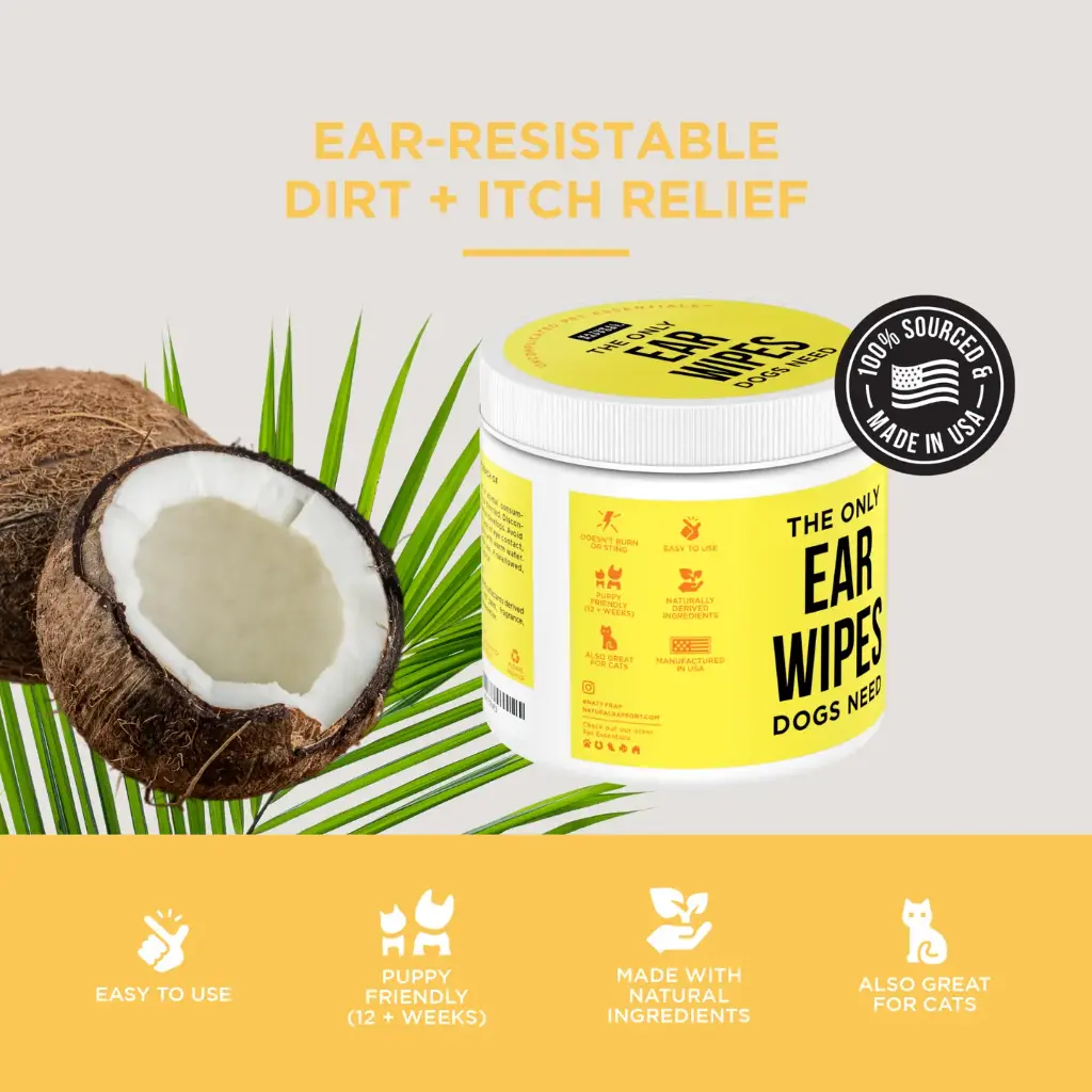 ear4.webp