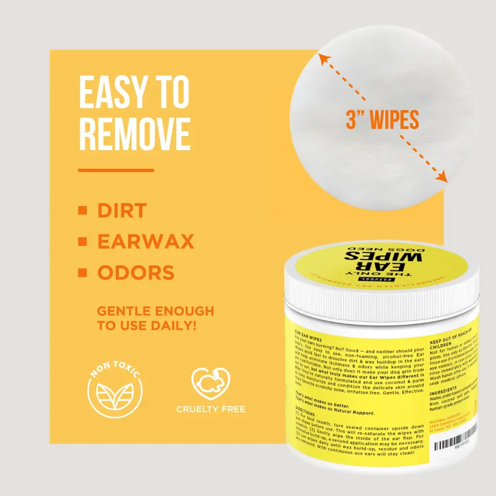 ear5.webp