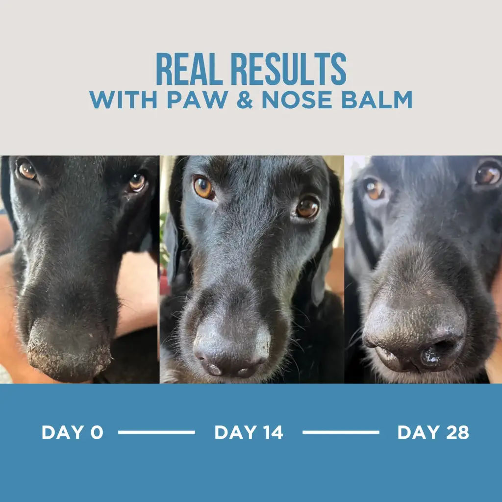balm5.webp