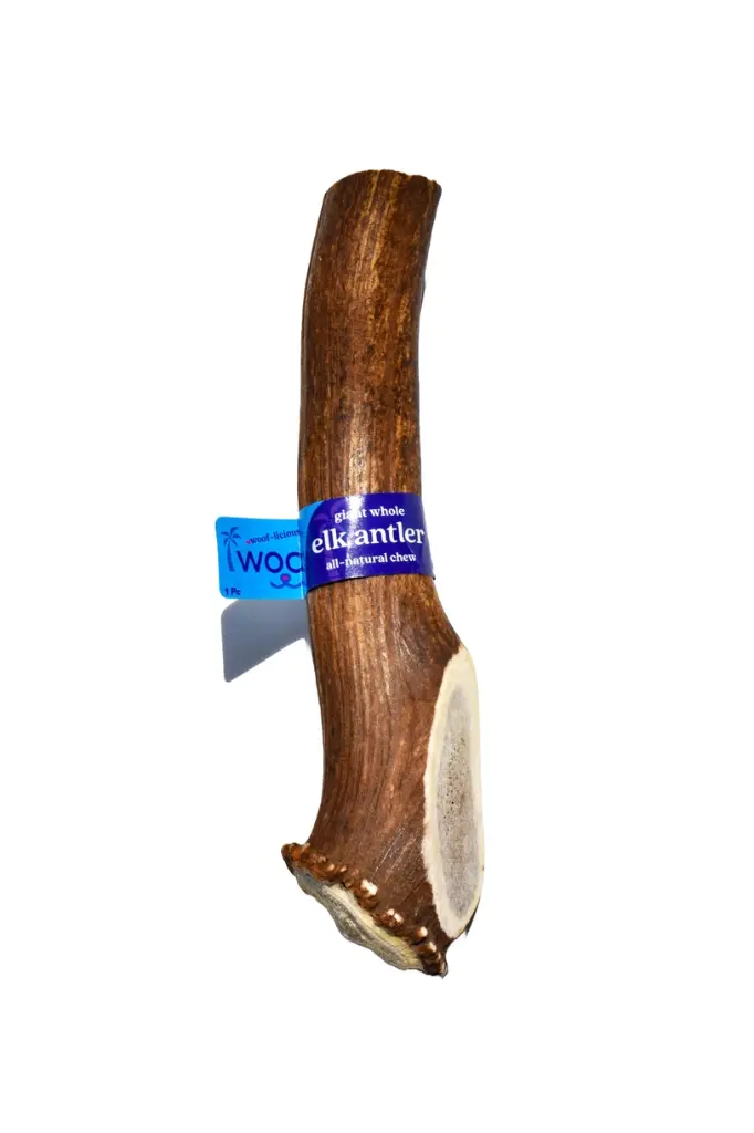 elk3.webp