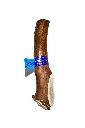 elk3.webp