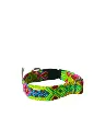 IMG_1899-removebg-preview.webp