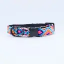 Coral Cat Collar