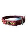 Dog Collar - Handmade Artisan Cabos M