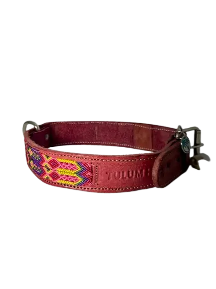 Dog Collar - Handmade Artisan Cabos L