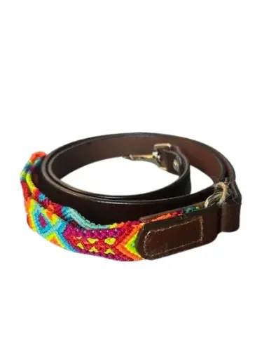 Dog Leash - Leather With Handwoven Handle
