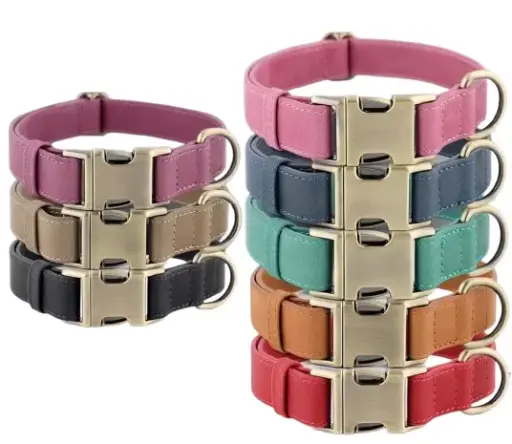 Dog Collar - Authentic Leather 