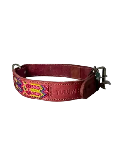 Dog Collar - Handmade Artisan Cabos XL